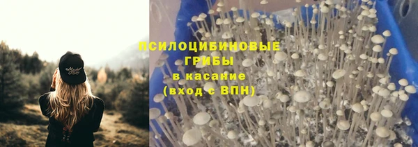 apvp Корсаков