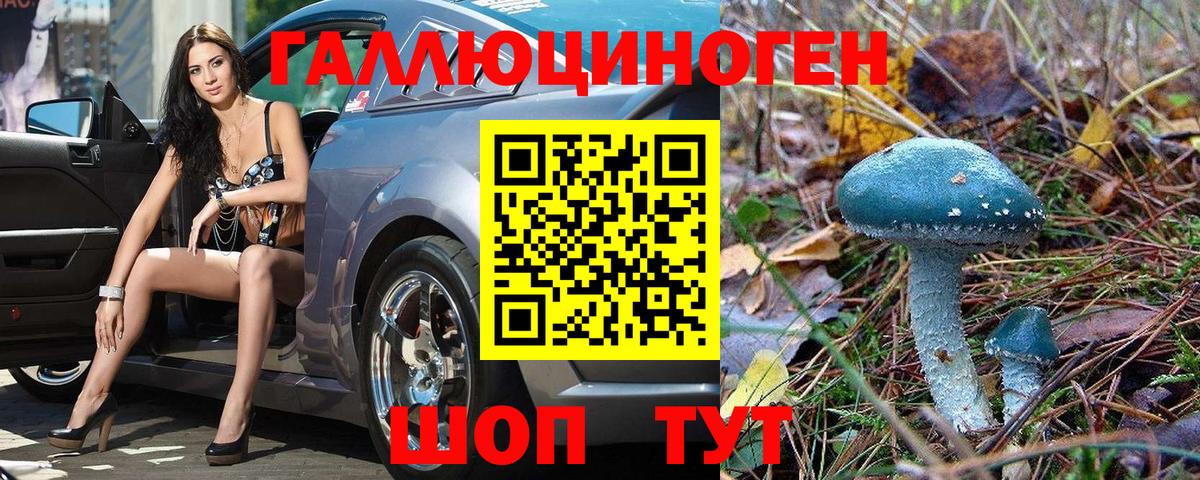 Псилоцибиновые грибы мухоморы Луга