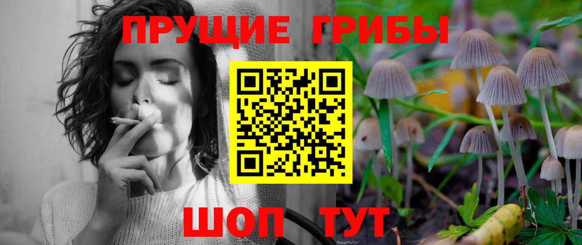 Галлюциногенные грибы ЛСД  Псилоцибиновые грибы прущие грибы  Вход с VPN  Луга 